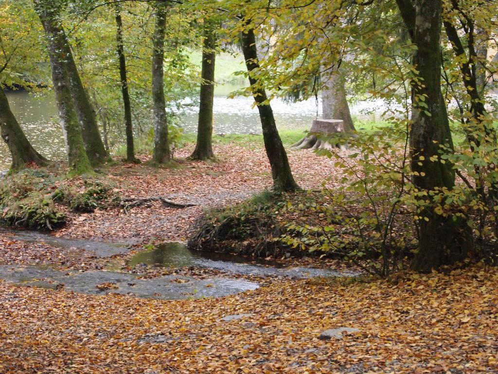 Camping Le Canada-Insolite Chiny Δωμάτιο φωτογραφία