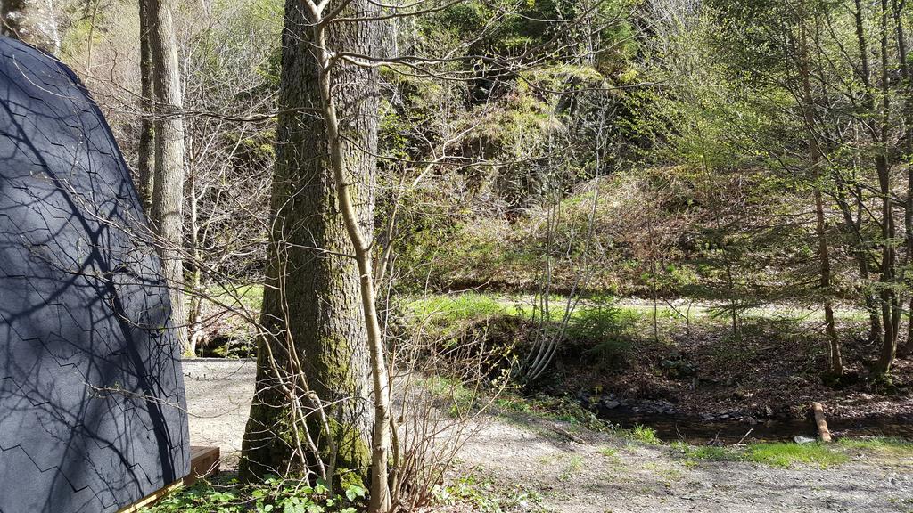 Camping Le Canada-Insolite Chiny Εξωτερικό φωτογραφία